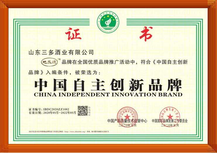 中國自主創(chuàng)新品牌