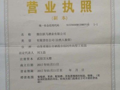 營(yíng)業(yè)執(zhí)照