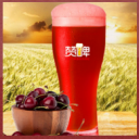 天津南軒松餐飲管理有限公司(贊啤)  