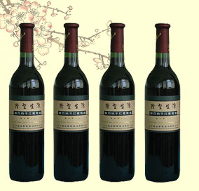 遼寧隆堃藍莓酒業(yè)有限公司