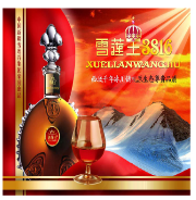 中國新疆雪蓮谷集團(tuán)