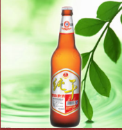 英博雙鹿啤酒集團(tuán)有限公司