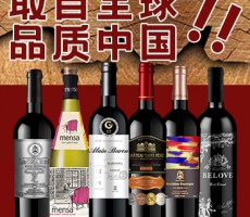 樂朗（天津）國際貿(mào)易有限公司