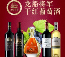 龍船將軍（上海）供應(yīng)鏈有限公司
