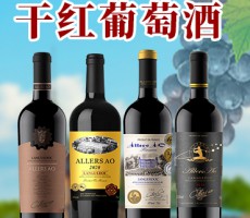 廈門全鑫盛酒業(yè)進出口有限公司